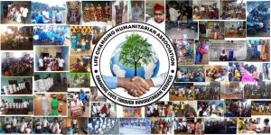 Summary of Past Licha Cameroon Past Activities