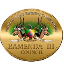 bamenda-3-council