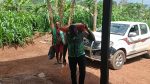Humanitarian Support to a Young Woman Living with Disability
